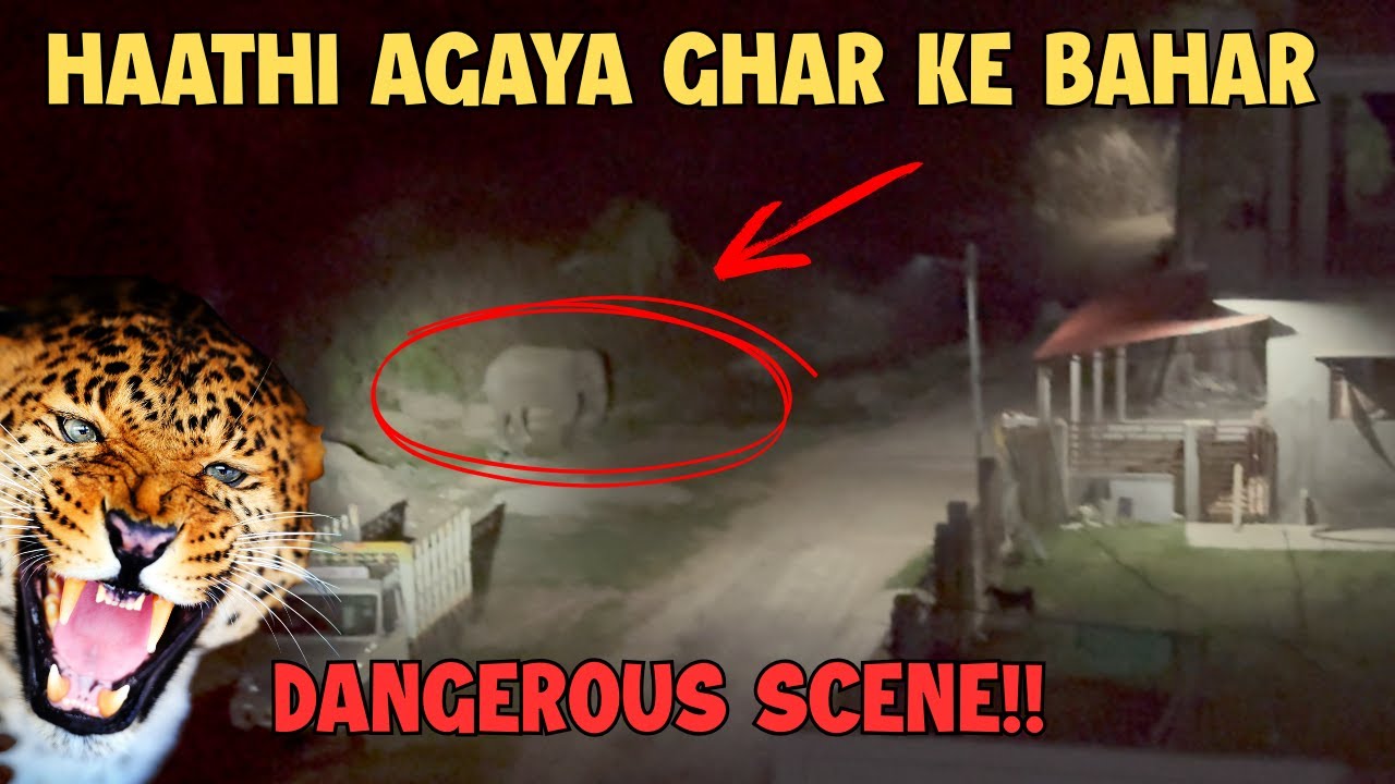 हाथी घर के बाहर आते ही डर का माहौल | Shah Villa | Jim Corbett