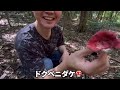 毒キノコ狩りしてみた