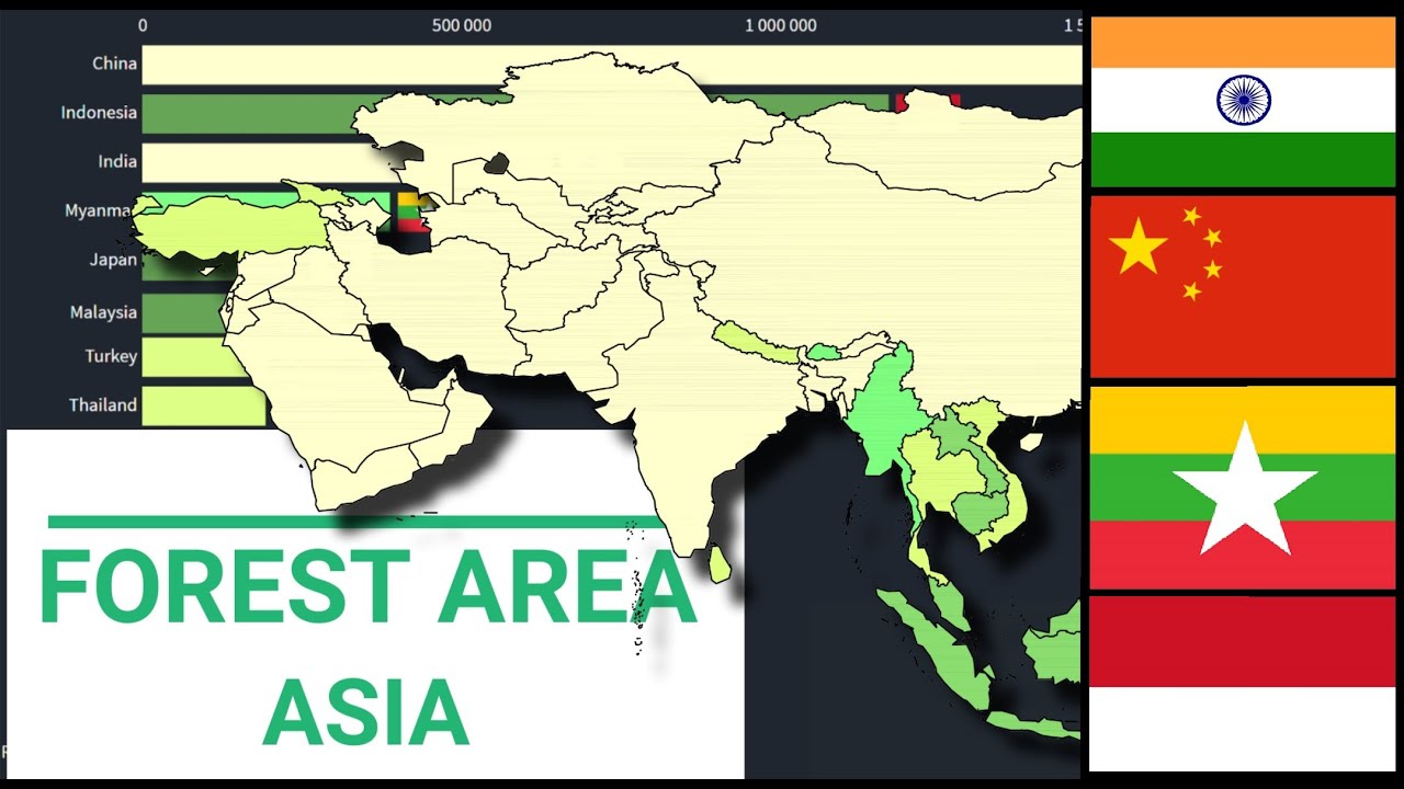 Forest area by territories - ASIA