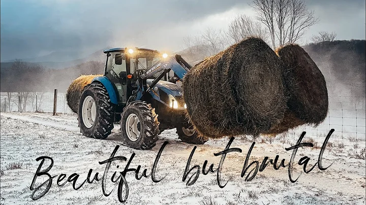A brutal Christmas to remember