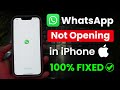 iPhone WhatsApp Not Opening? Fix It Easily 📱