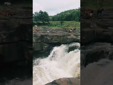 || Mini Vlog || Dudhani Waterfall Patur #shorts #minivlog #viral