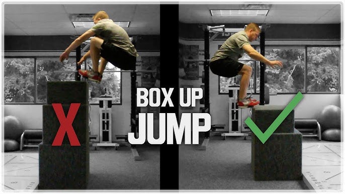 Box Jump Variations - FitPro Blog