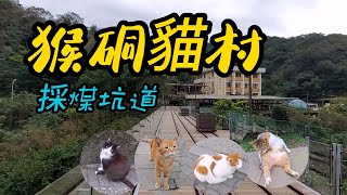 【新北景點】87 猴硐貓村Houtong Cats Village - Taipei, Taiwan 