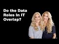 Do the Data Roles Overlap in Responsibility?