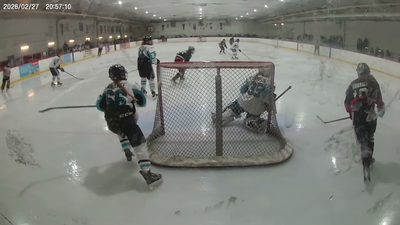 Sharks (RT) vs Leaside Wildcats 3784 27Feb26 P3