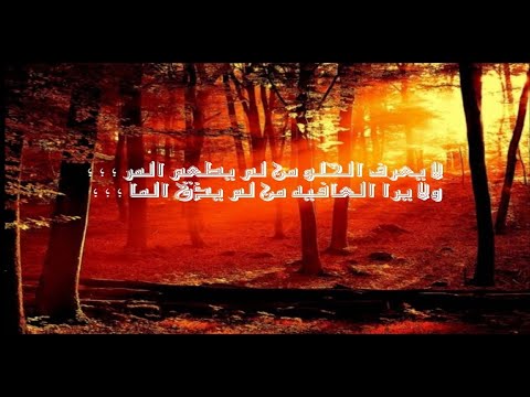 لا يعرف الحلو من لم يطعم المر ولا يرى العافيه من لم يذق ألم ا