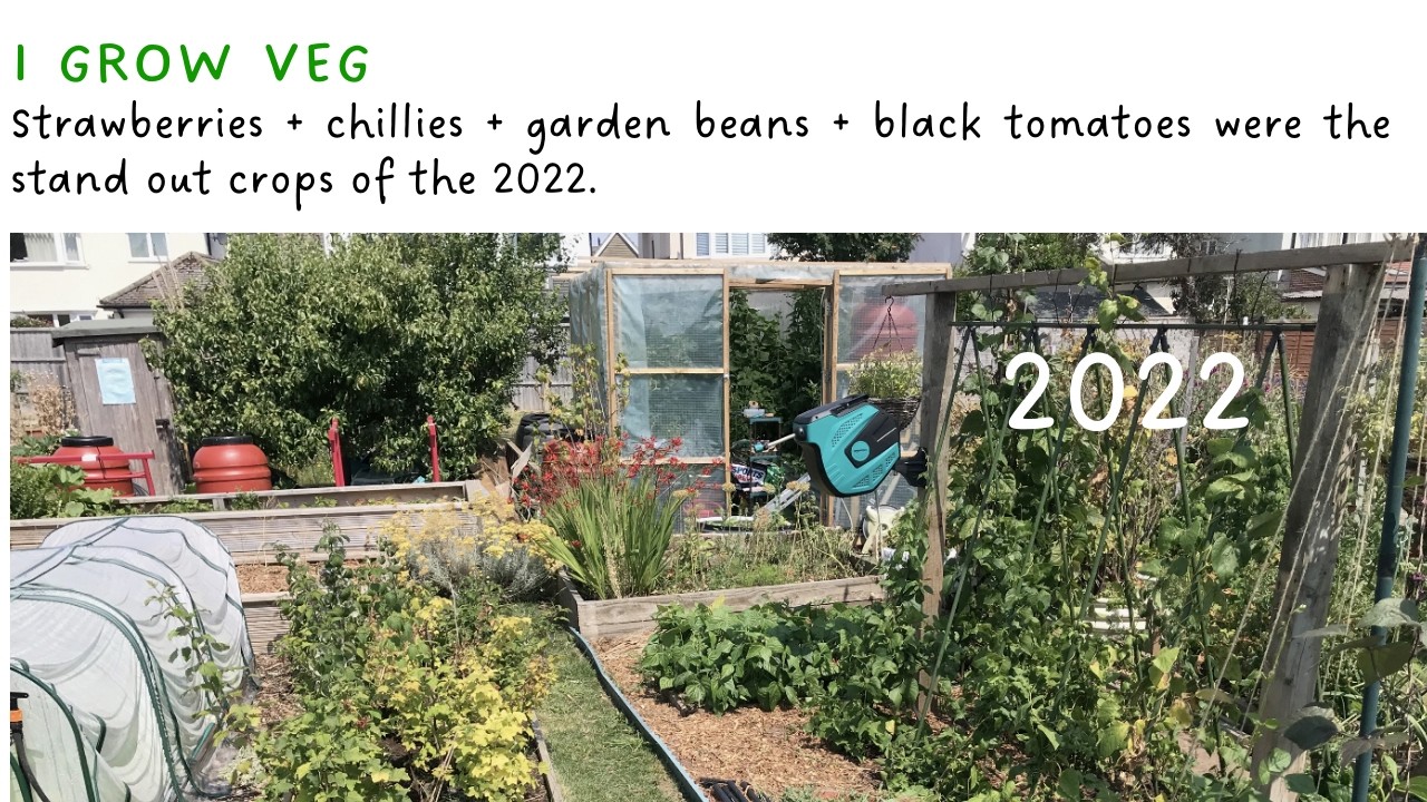I grow veg diary - 2022's best finds