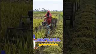 AI Creative Dhan Gehu Katne Ki Machine | Amazing Farming Innovation 🌾🚜 | Desi Jugaad AI Art #shorts