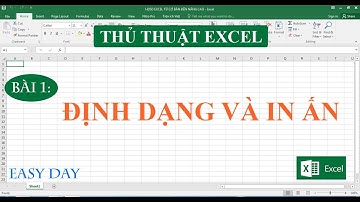 Bài 1: Định dạng và in ấn trong Excel