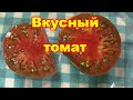 Вкуснейший томат Шоколадный,обзор и дегустация.
