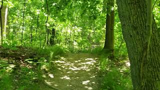 Ginger Valley Trail | Hiking Trail, Hamilton, Ontario