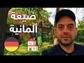 🏡 ألمانيا | سلبيات وإيجابيات العيش في ضيعة ألمانية 🇩🇪