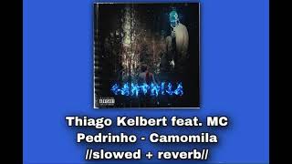Thiago Kelbert feat MC Pedrinho - Camomila 🌸//𝚜𝚕𝚘𝚠𝚎𝚍 + 𝚛𝚎𝚟𝚎𝚛𝚋//🌸