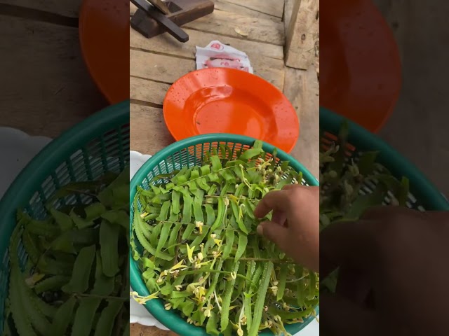 Lanjut masak tauge yang dibuat kemarin, selesai masak tauge lanjut buat kue pisang class=