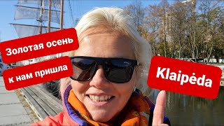 Клайпеда. Золотая осень в Литве. В заливе полно рыбы. Ruduo Lietuvoje. Klaipėda.