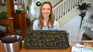 how to start seeds indoors with step by step instructions and demonstrations// northlawn flower farm