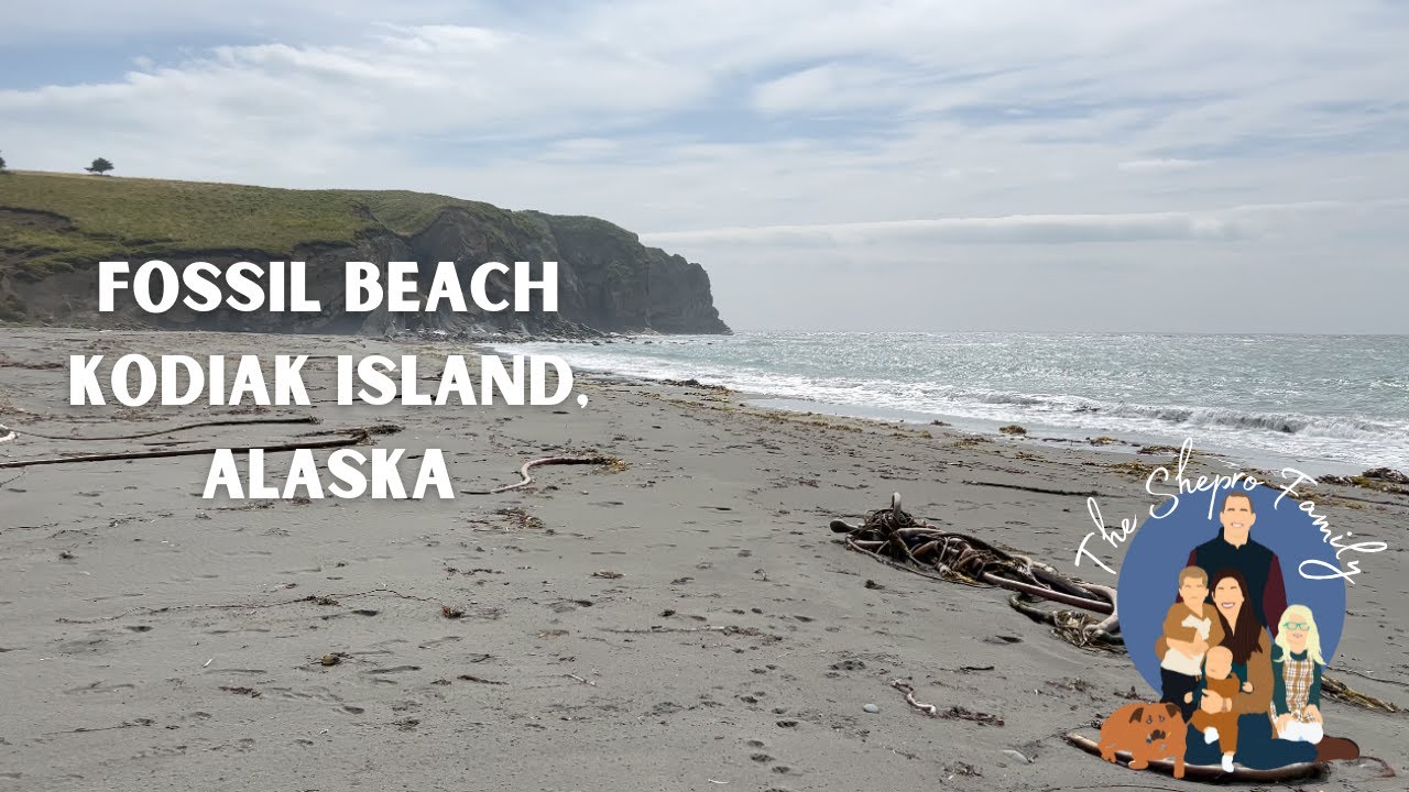 Fossil Beach Kodiak Island, Alaska YouTube
