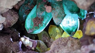 Green crystal and citrine grow together in the crevices of rocks. Gems, jewelry, gold, crystal