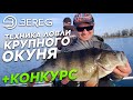 Техника ловли крупного Окуня весной. Рыбалка в Херсоне 2020 +Конкурс