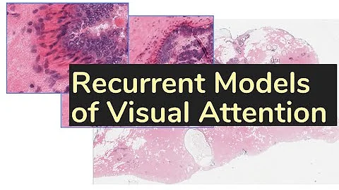 Recurrent Models of Visual Attention | TDLS - DayDayNews