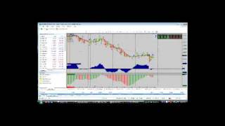 Forex Trading Steve's Norwood Alert Secret Revealed - Forex Education - Learn Forex