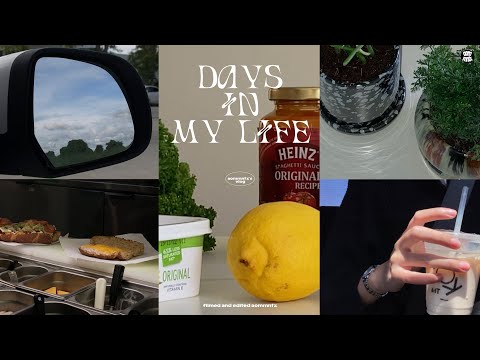 vlog, days in my life, ปิดเทอมแล้ว!, ต้นไม้ใหม่🪴, จัดห้องนอน, grocery shopping + cooking | aommntx