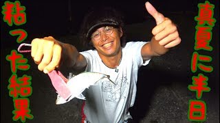 夏の夜にアジングで良型アジGET！！