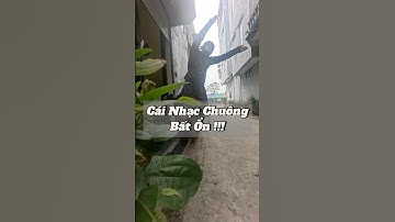 Tôi để nhầm cái nhạc chuông và !!! ~ #shortvideo #funny #tiktokvideo #cooking #family