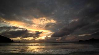 Download Lagu MonaVie: Scouring the Earth For The Rarest Ingredients MP3