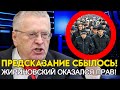 ПРОРОЧЕСТВО ЖИРИНОВСКОГО О МИГРАНТАХ СБЫВАЕТСЯ ТОЧЬ В ТОЧЬ! ВЕСЬ ИНТЕРНЕТ НА УШАХ!