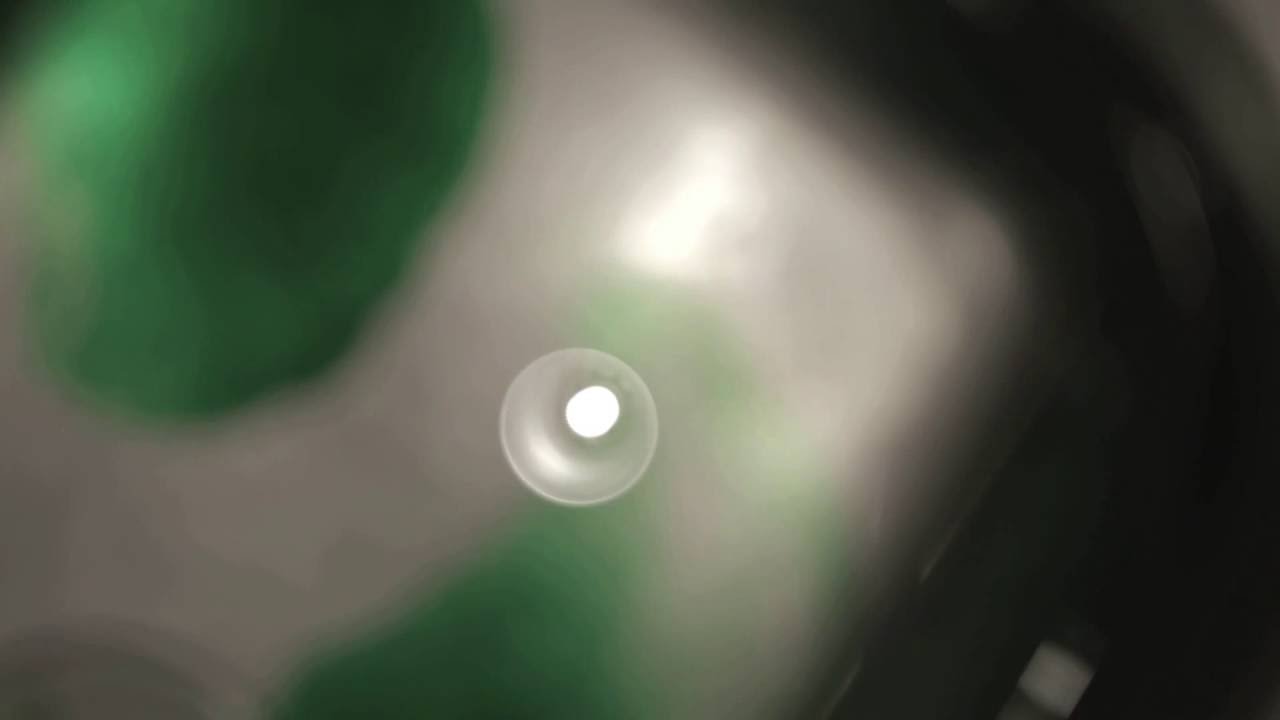 Pagan Rodeo, Position Vacant