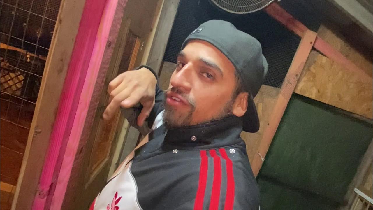 Como inyectar un Gallo, galling. how to inject birds youtube video