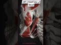 هكذا تتحرك عضلات الفك 