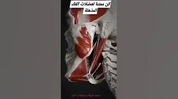 هكذا تتحرك عضلات الفك 