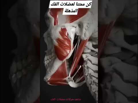 هكذا تتحرك عضلات الفك