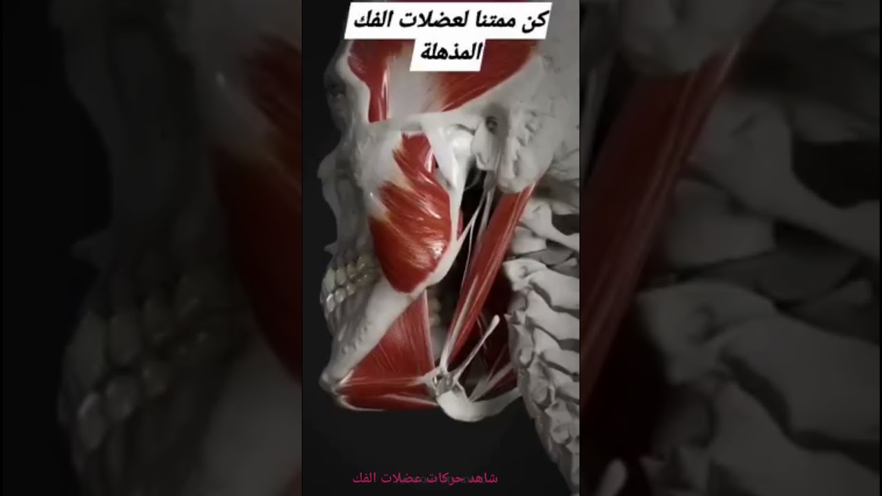 هكذا تتحرك عضلات الفك