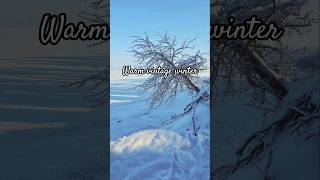Tried new Luminar presets, love this shots 😍 #winter #photography #editing