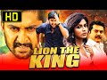 Nani's Blockbuster Hindi Dubbed Movie "Lion The King" (Janda Pai Kapiraju) | Amala Paul, Sarathkumar