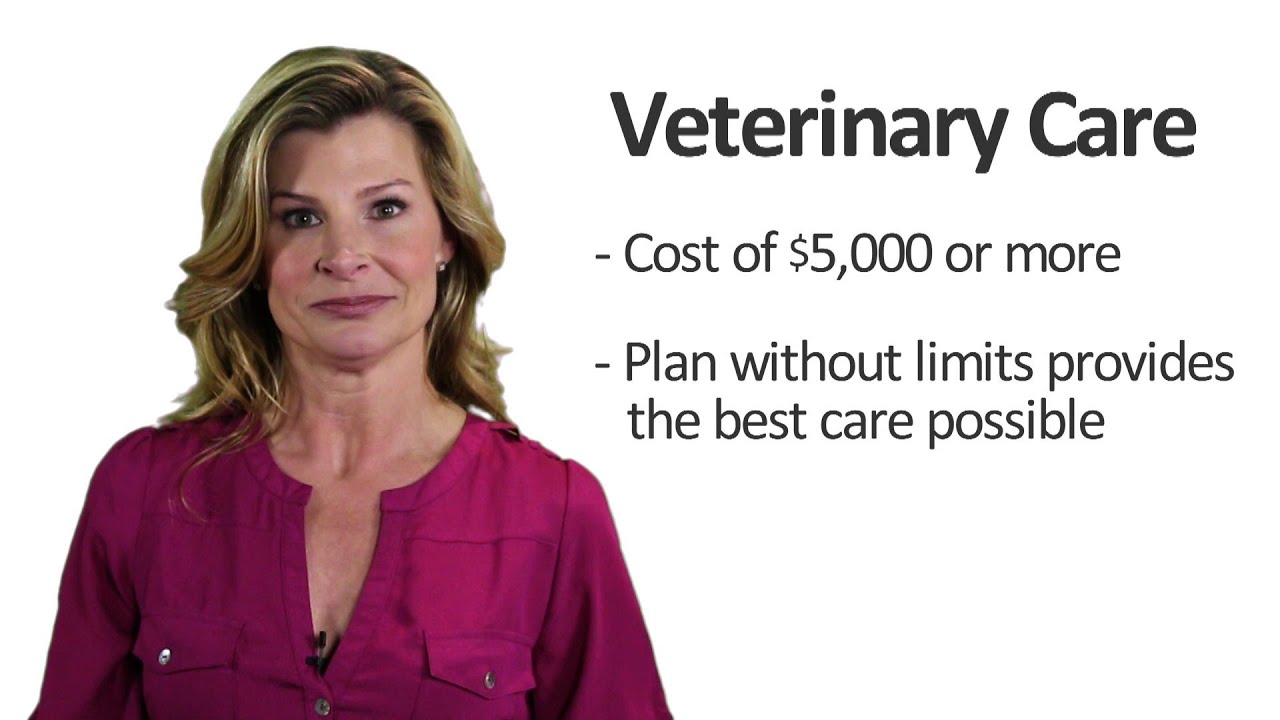 Pet Insurance Benefit Limits YouTube