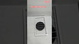 pigeon trap door #birdcage #birdfeeder #birdfood #birdsupplement #birdaccessories #birdtoy #saibirds