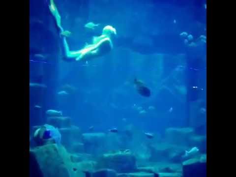    اليسا مكتوبة ليك