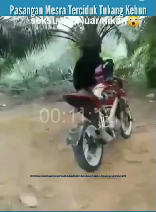 Dua sejoli terciduk lagi mesum di kebun sawit