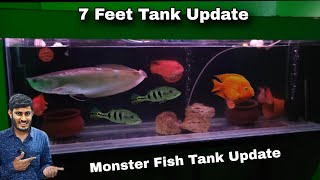 7 Feet tank Update  Monster Fish, Arowana & Parrot Fish, Peacokbass now in 7 Feet tank