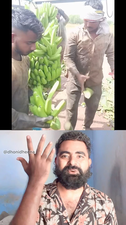 Experience👌😱#reationdheena #viral#trending #banana #bananatree#shorts #fruits #farmer #villagelife