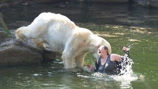 Ужас ! Человек VS Медведь !!! Кто кого ??? Охота на охотника !!! Животные с National Geographic Ужас ! Человек VS Медведь !!! Кто кого ??? Охота на охотника !!! Животные с National Geographic