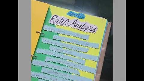 ACCOUNTANCY PROJECT FILE  Session 2024-25