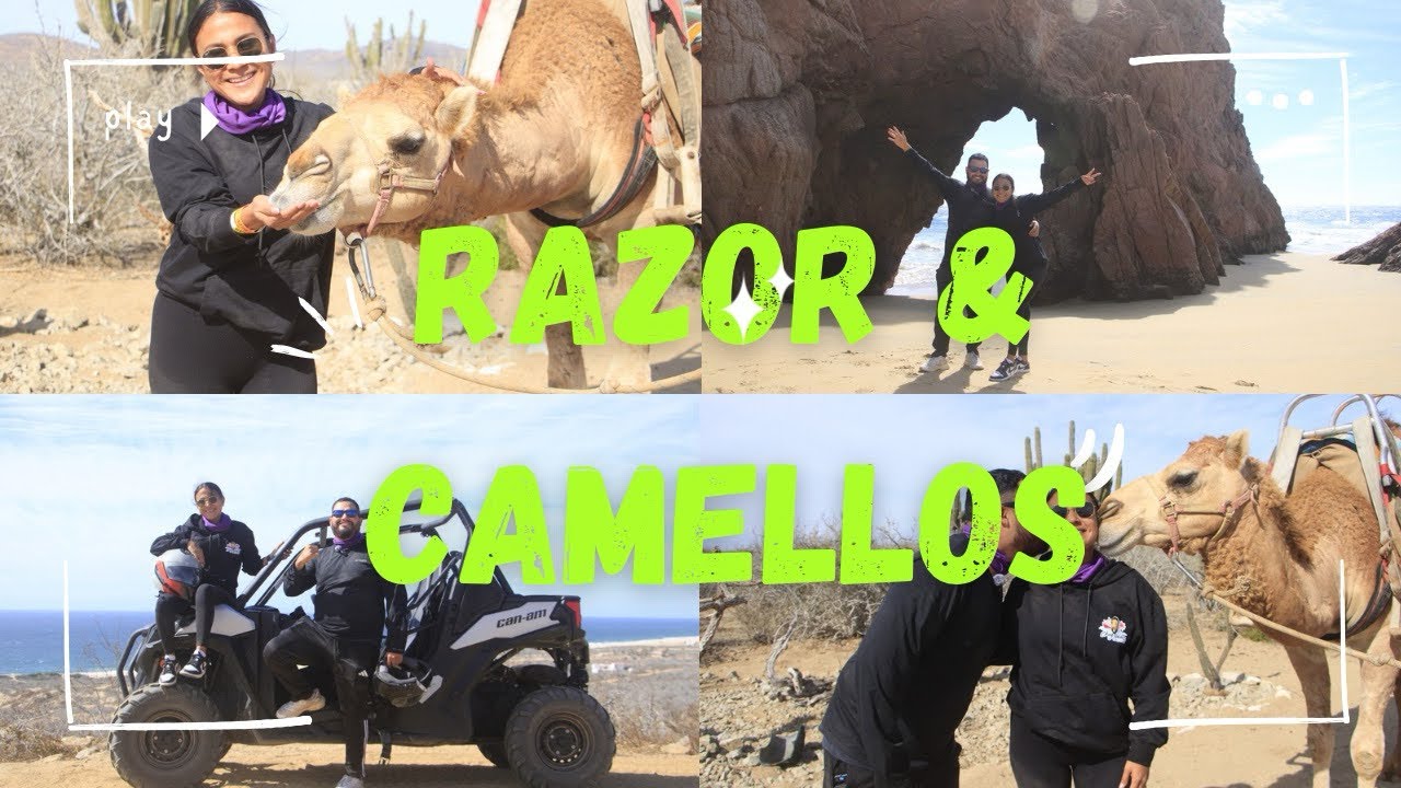 Asi Razor Así Los Razors y camellos en cabo san Lucas !!! Rancho san Cristóbal ...