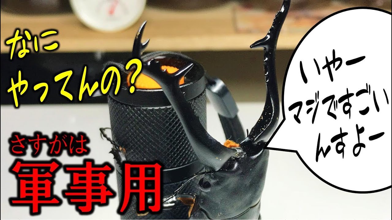 カブトムシ＋クワガタ＝昆虫採集】軍事用LEDタクティカルライトが想像