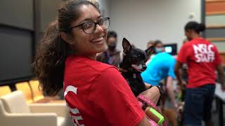 NSLC Veterinary Medicine - Train to be a veterinarian